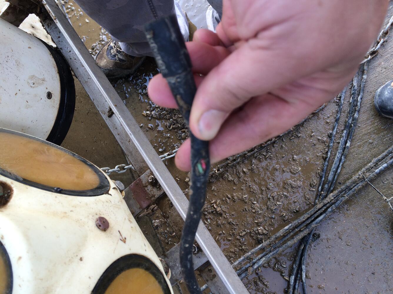 Ohio River at Olmsted IL - minor cable cut on equipment