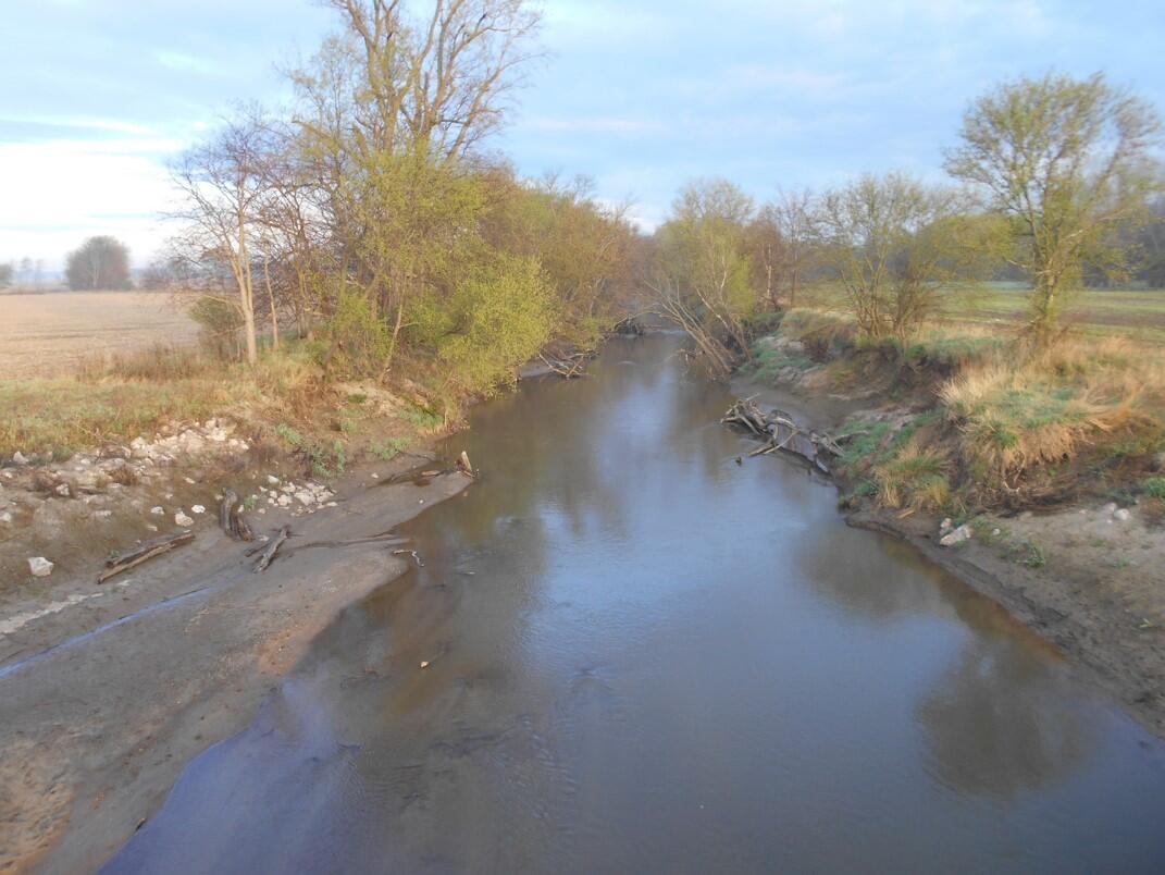 View of Old Mans Creek near Iowa City, Iowa