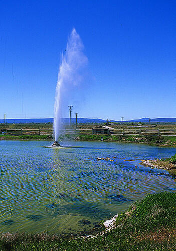 Old Perpetual Geyser