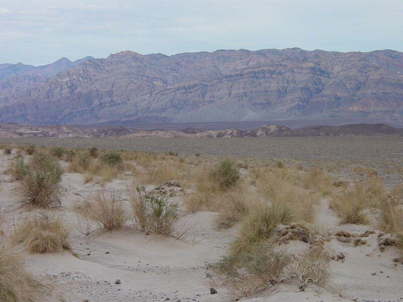 Old Stovepipe Wells