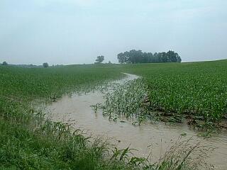 Surface runoff flows from a cornfield in the Sugar Creek basin IN