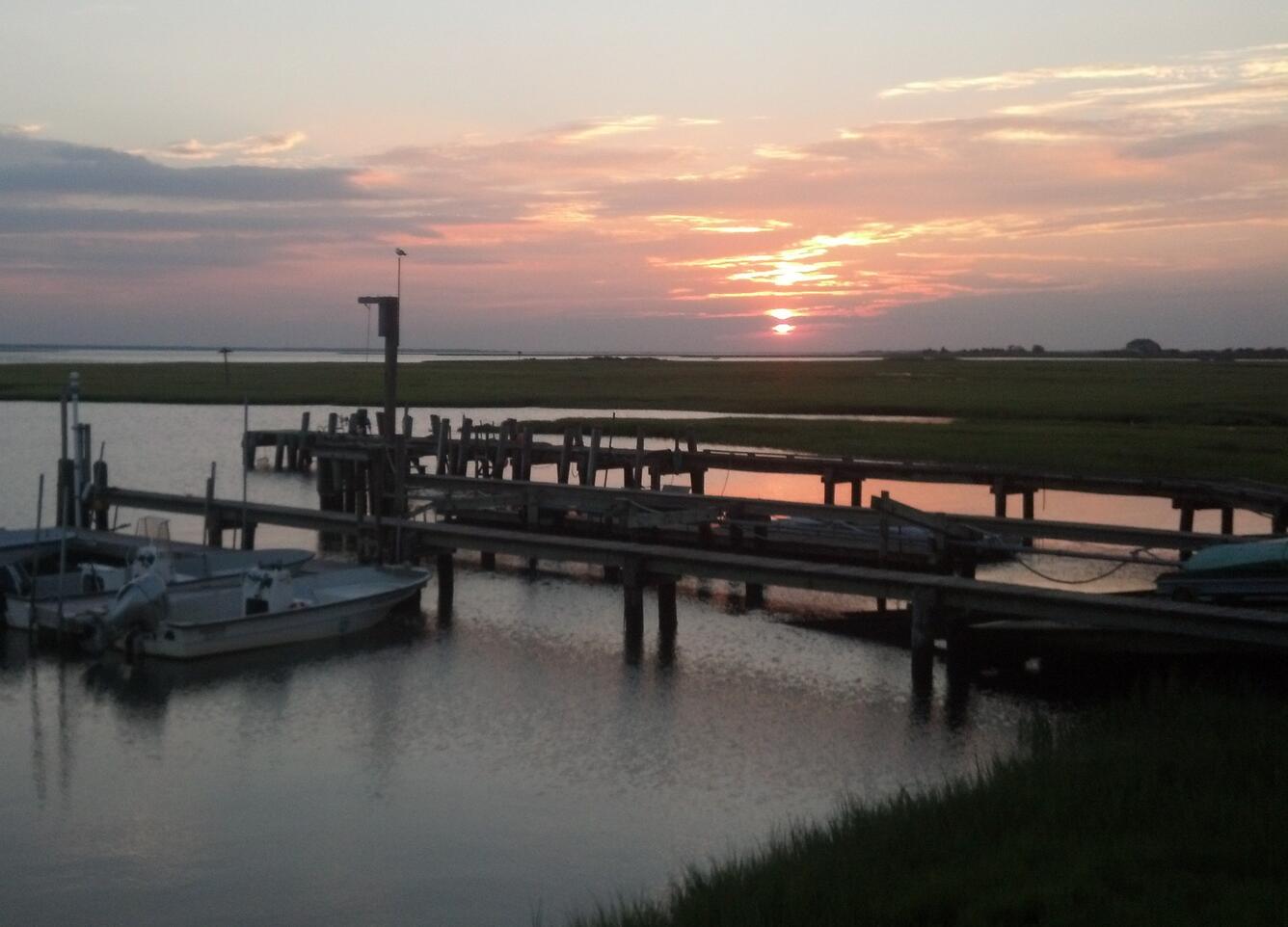 sunset over wetland