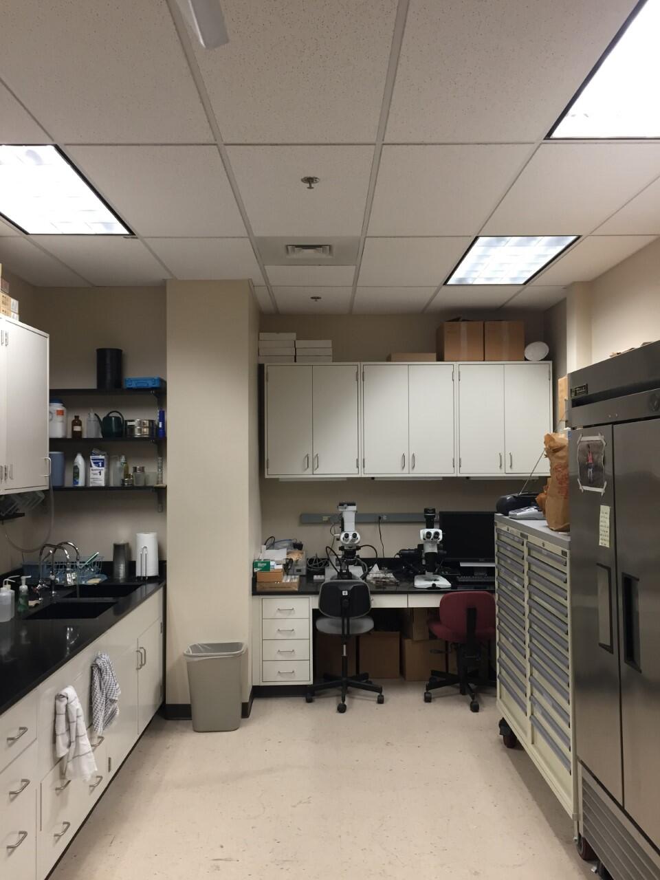 Quaternary Paleobotany Laboratory at the Denver Federal Center