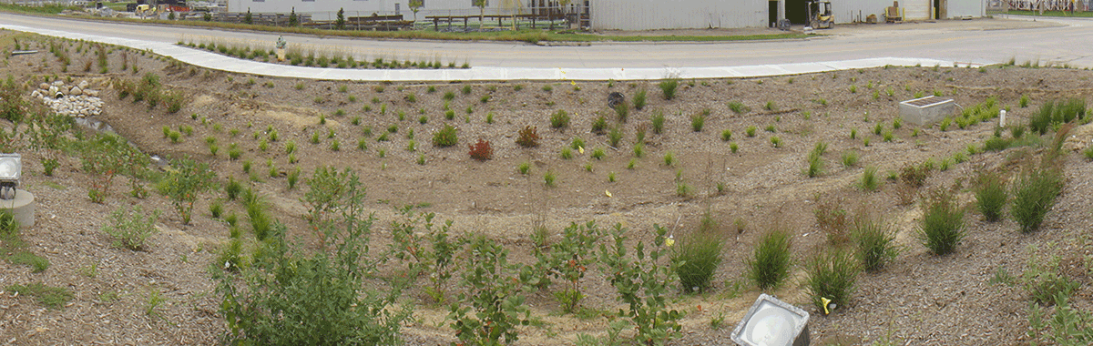 Bioretention cell after construction, Omaha Sewer Maintenance Facility, 2014