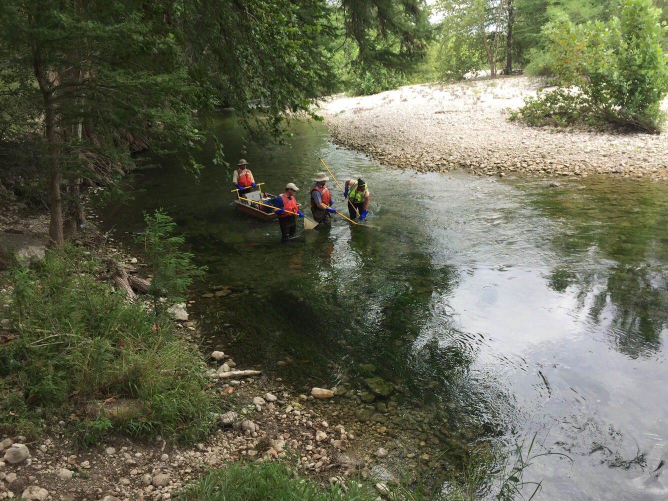 Electrofishing on the Frio River, Texas