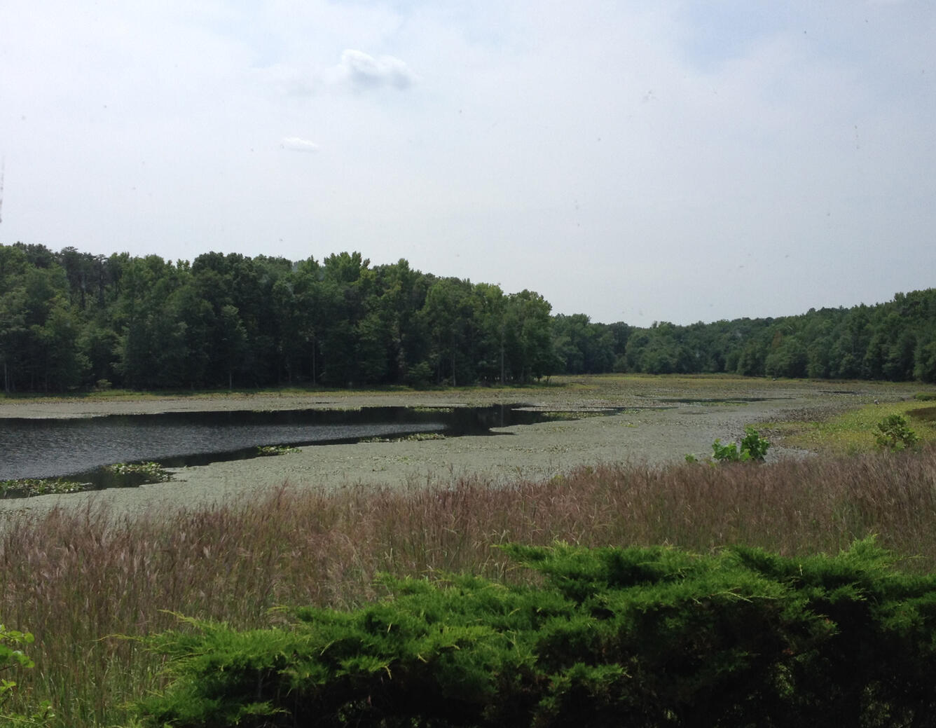 Patuxent area, Maryland