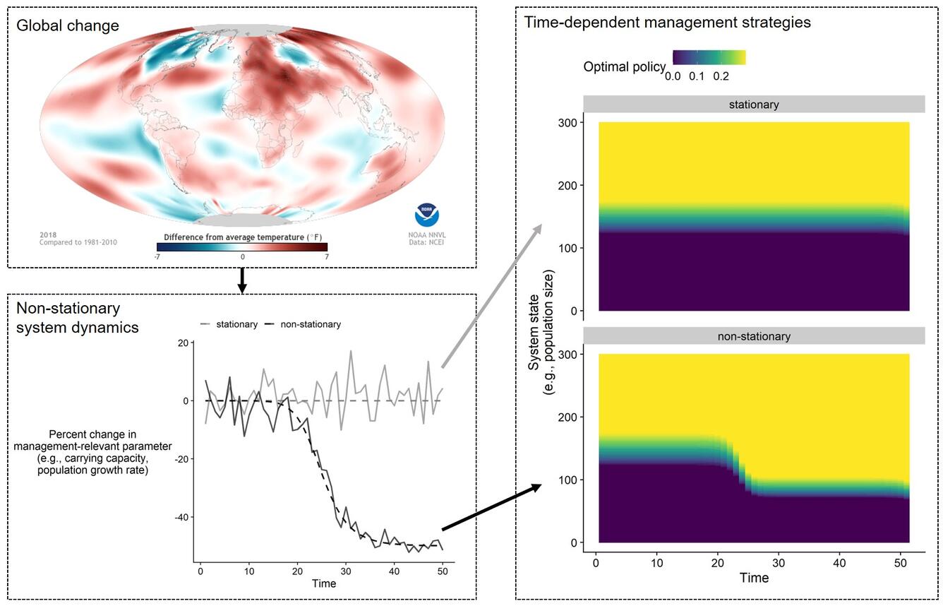 Time-dependent Decisions Diagram