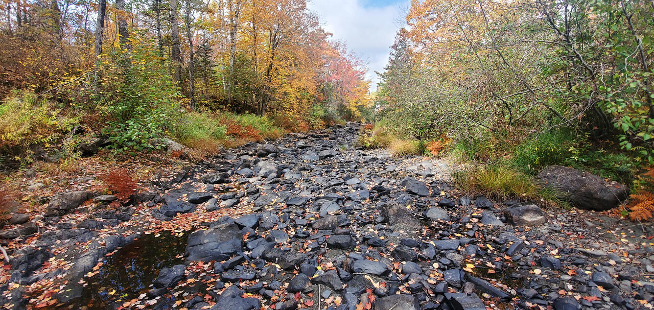 Kingsbury Stream at Abbot Village, Maine