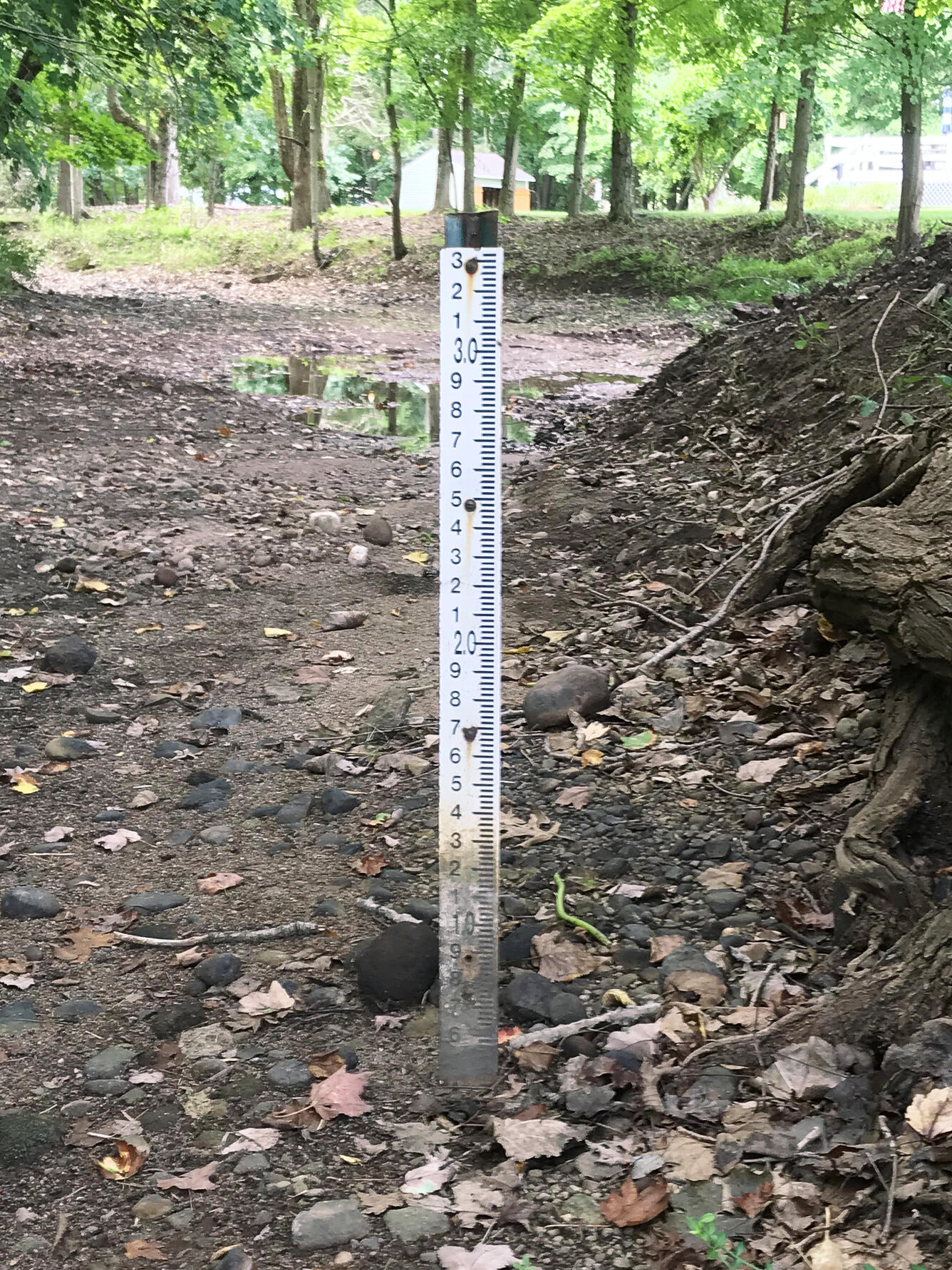 Dry stream channel at Mill River at Cook Hill Road near Cheshire, Connecticut