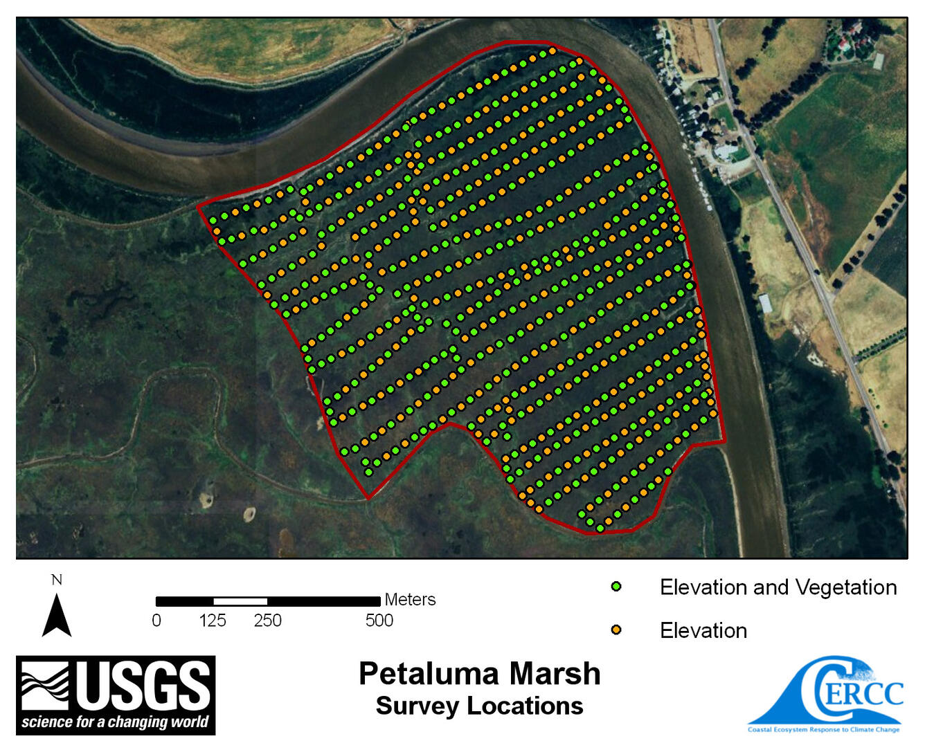 WERC Map of elevation sampling point locations at Petaluma Marsh