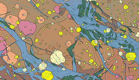 PGM Ganymede Map