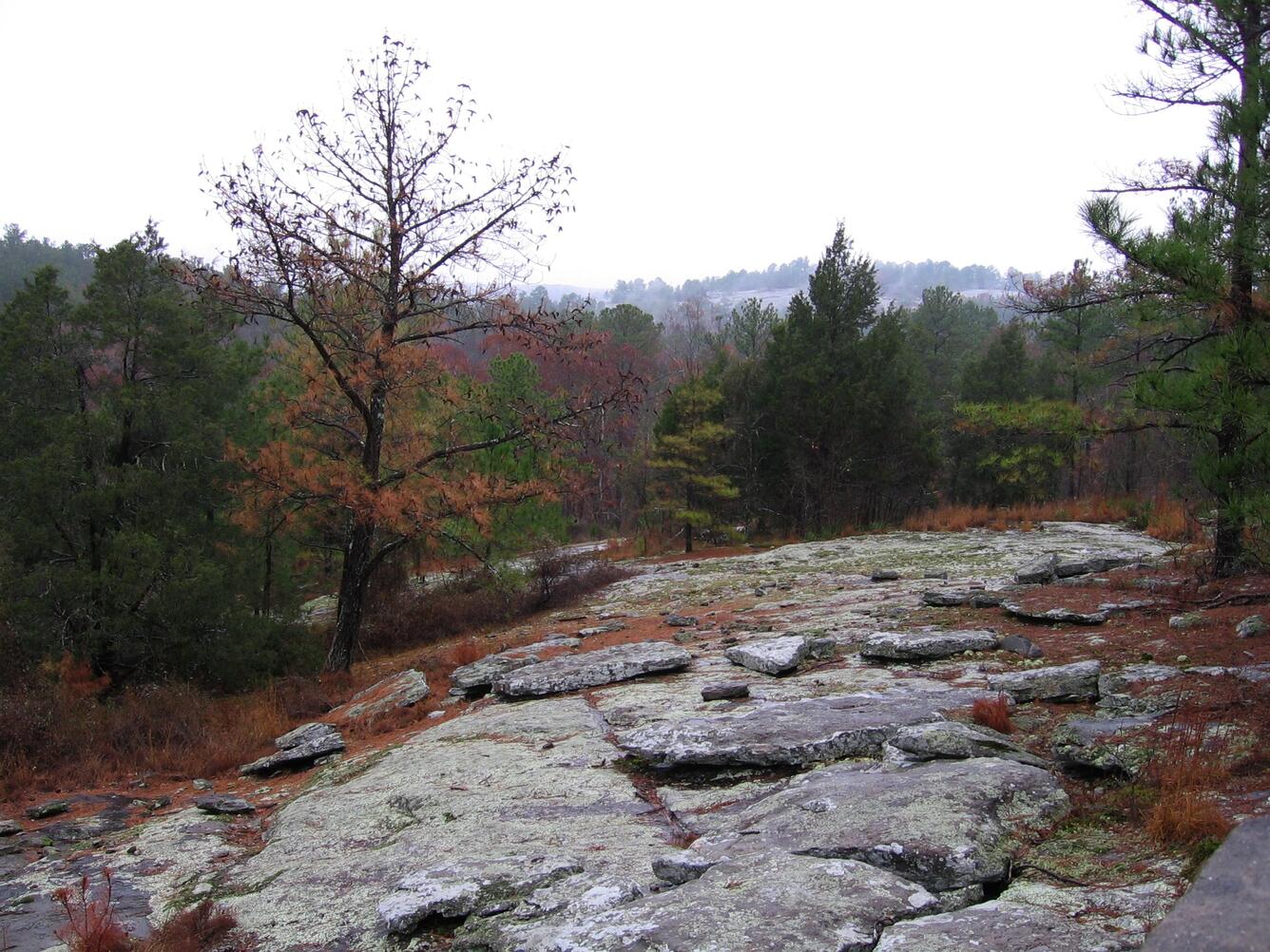 Granite outcrop, Panola Mountain Research Watershed
