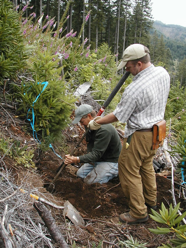 Employees digging into the ground to set up monitoring stations on the hillside of Knife Ridge