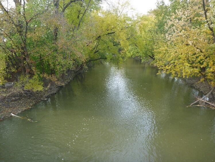 Stream in early fall