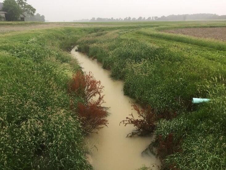Small stream traversing a field