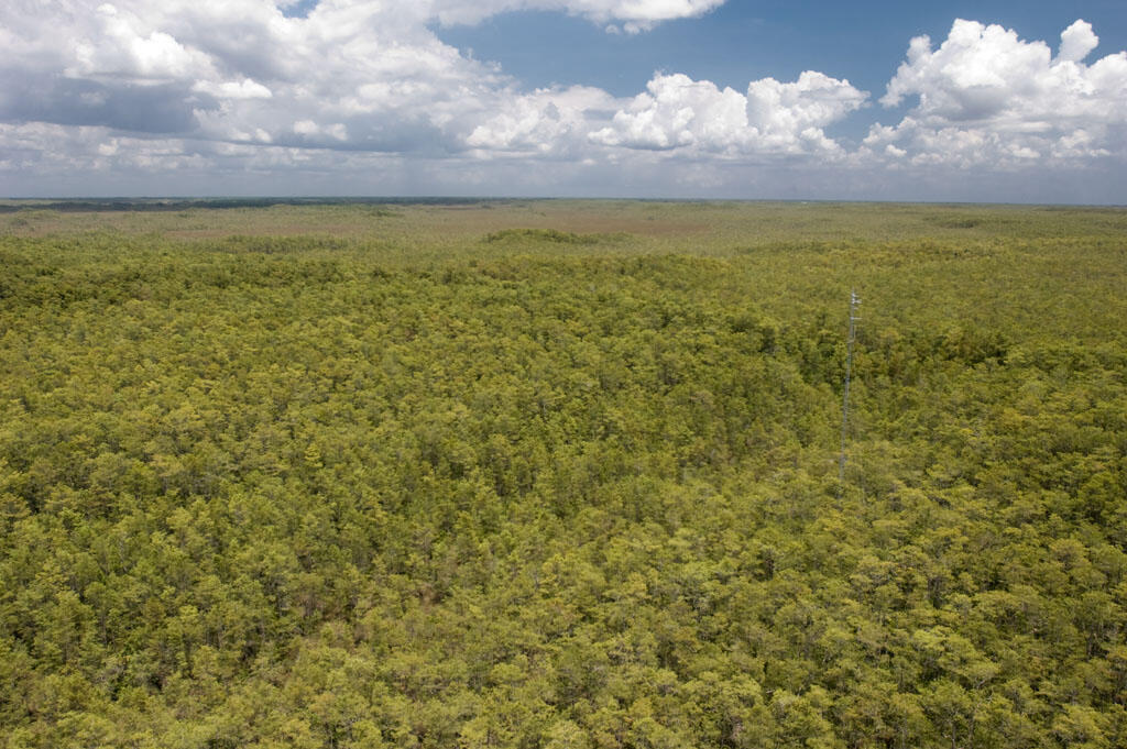 Evapotranspiration weather tower research Big Cypress monitoring site.