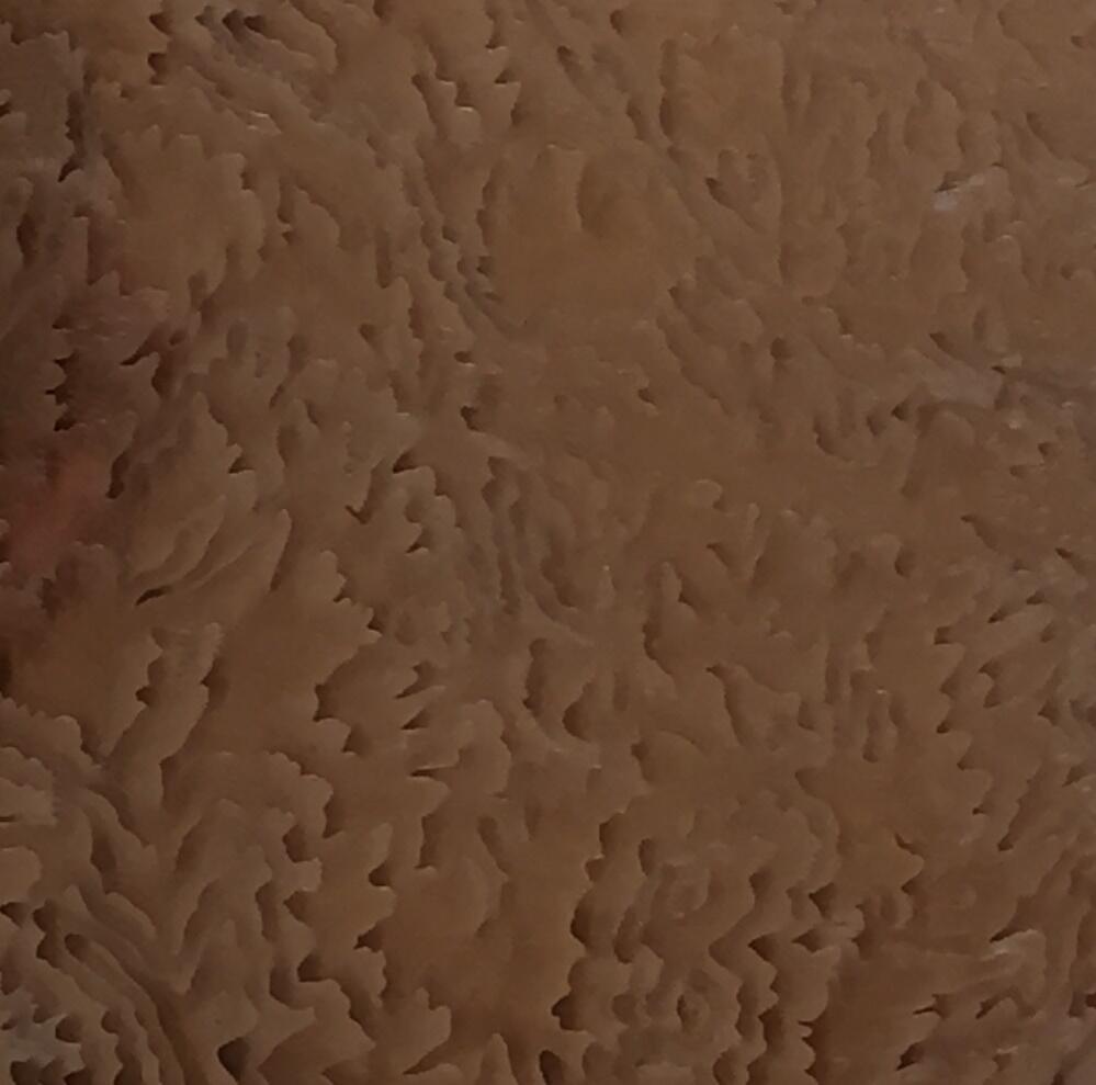 Copper plate cropped