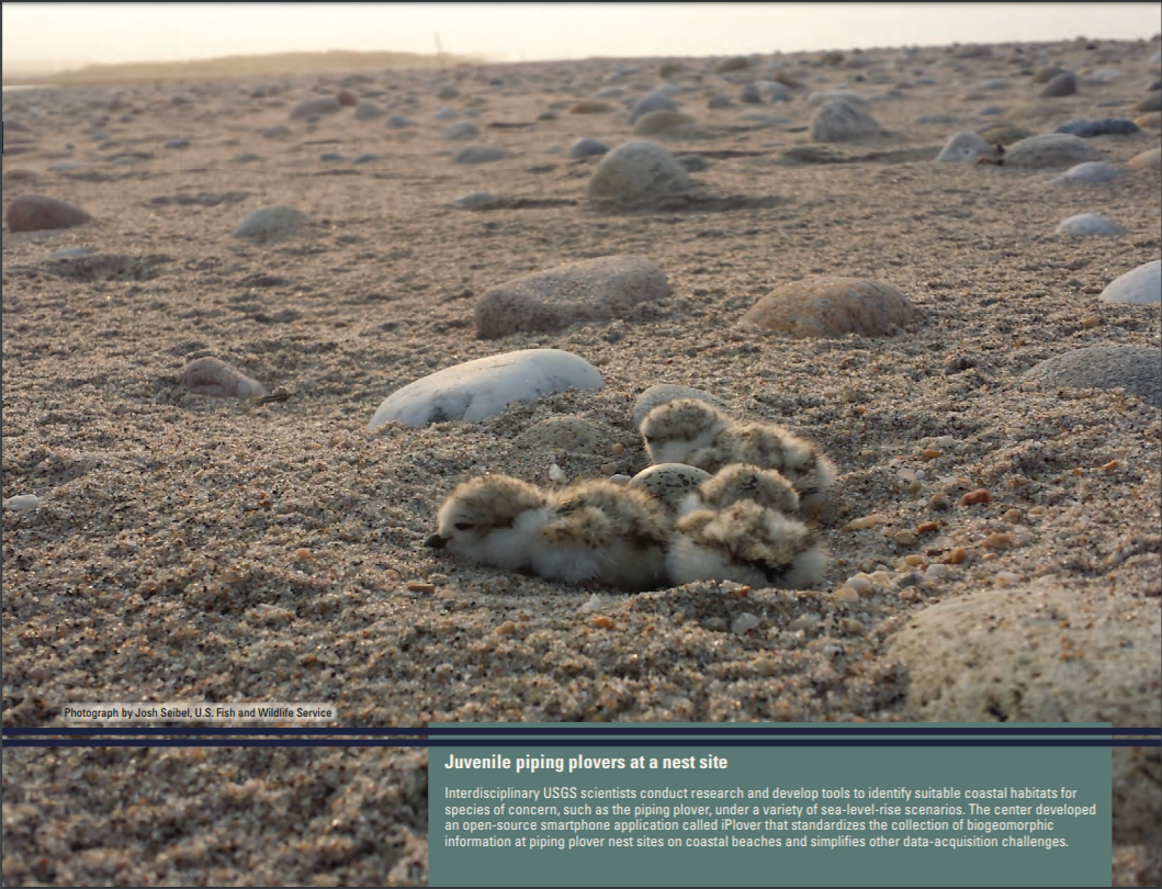 Screen grab of GIP Report Cover