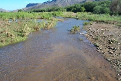 Pinal Creek, Arizona, is the site of an investigation into the fate of metals downstream from a copper mining area