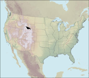Province 5035, Wind River Basin, National Oil and Gas Assessements