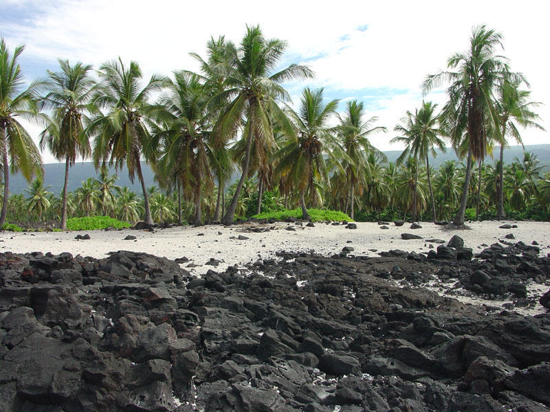 Basalt flows, sand, and palms at PUHO; Credit: Phil Stoffer, USGS