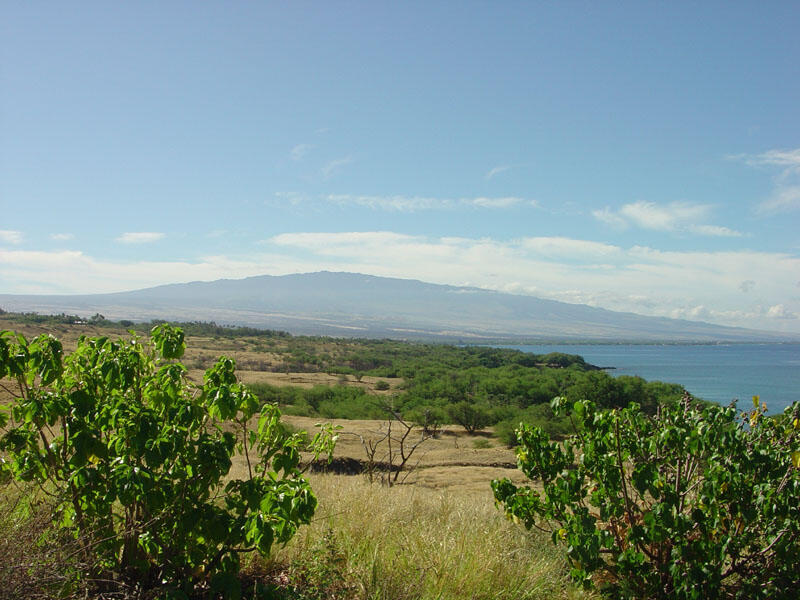 Puukohola Heiau National Historic Site