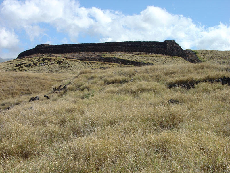 Puukohola Heiau National Historic Site