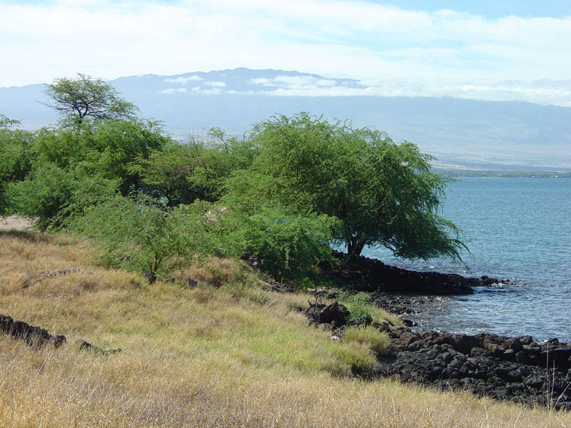 Puukohola Heiau National Historic Site