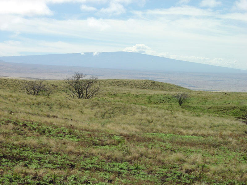 Puukohola Heiau National Historic Site