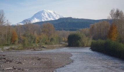River with Mount Rainier in the background