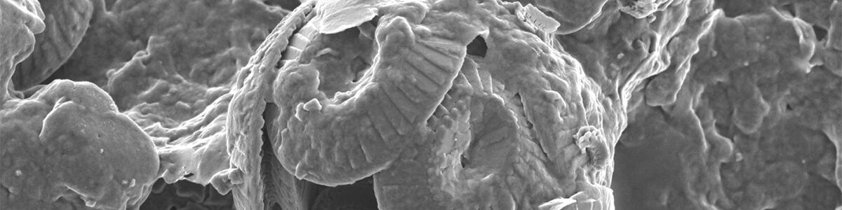 Reston Electron Microbeam Laboratory Home Banner