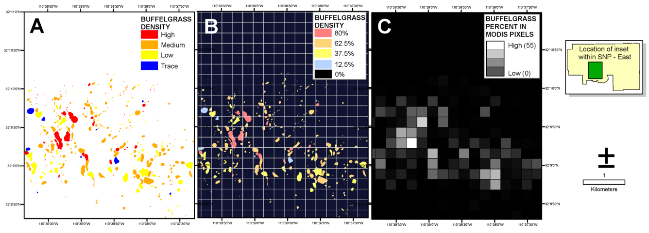 Visual explanation of the percent buffelgrass raster creation from USGS journal article