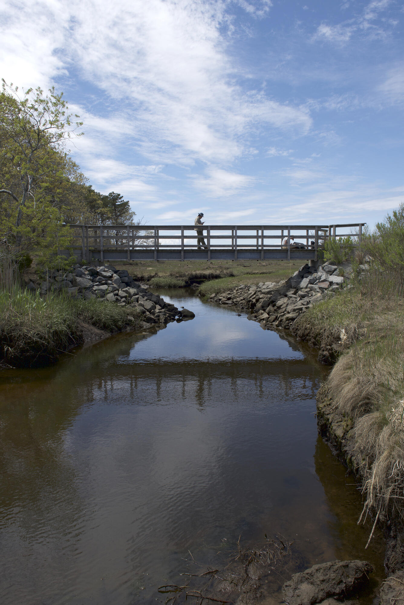 Photograph of a restored tidal restriction at Bass Creek, Cape Cod, MA.