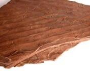 Ripples preserved in shale 