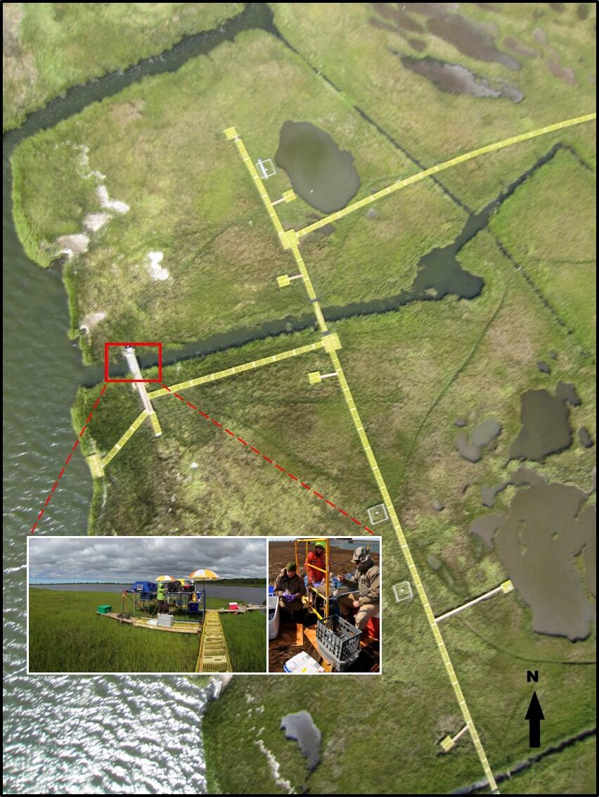 Sage Lot Pond, MA study site showing full tidal timeseries sampling at creek mouth