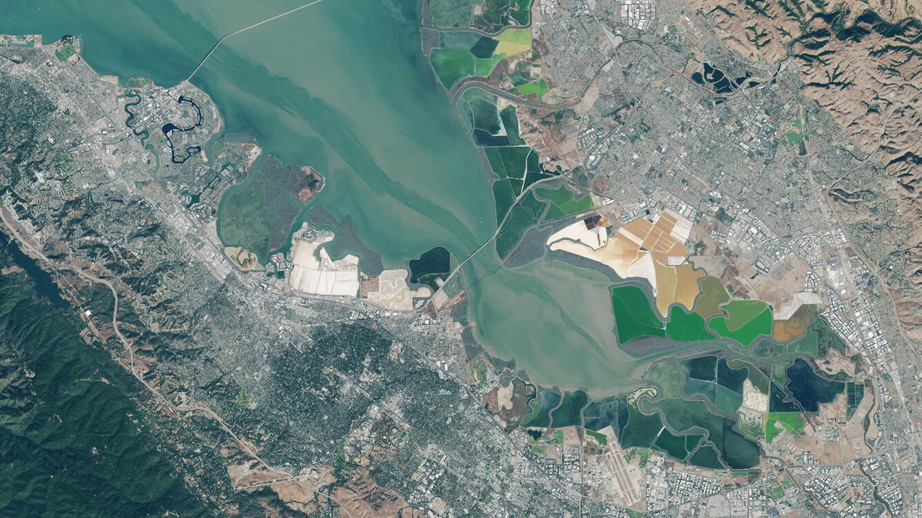 Landsat image of the south end of San Francisco Bay Estuary and associated wetlands