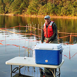 Sampling of Groundwater discharging through the bottom of a pond