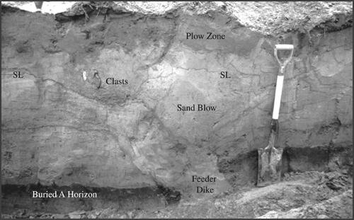 Sand blow deposit and related feeder dike exposed in excavation