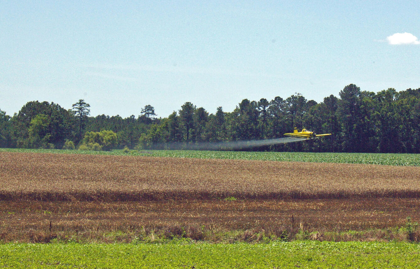 Crop dusting is one technique used to spread pesticides on agricultural lands in the Albemarle Sound region.