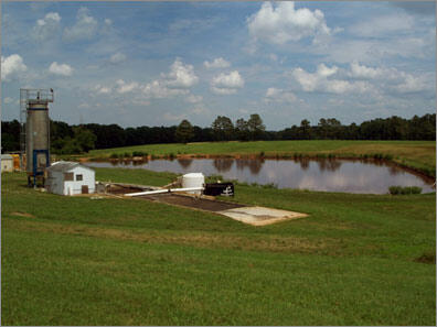 Primary lagoon at Swine facility