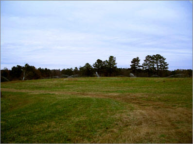 Active spraying in application field