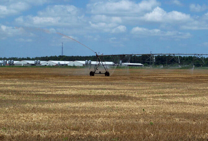 Spray field at swine concentrated animal feeding operations (CAFO) in eastern North Carolina