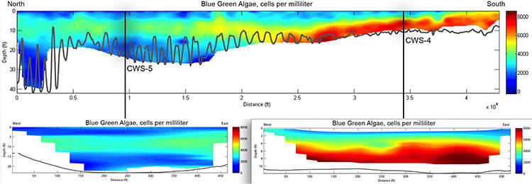 Longitudinal and cross-sectional AUV profiles of estimated blue-green algae.