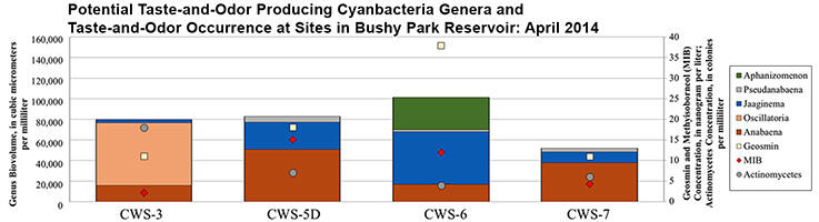 Bar chart problematic cyanbacteria genera