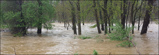 Floodplains trap sediment and slow flood waters during runoff events.