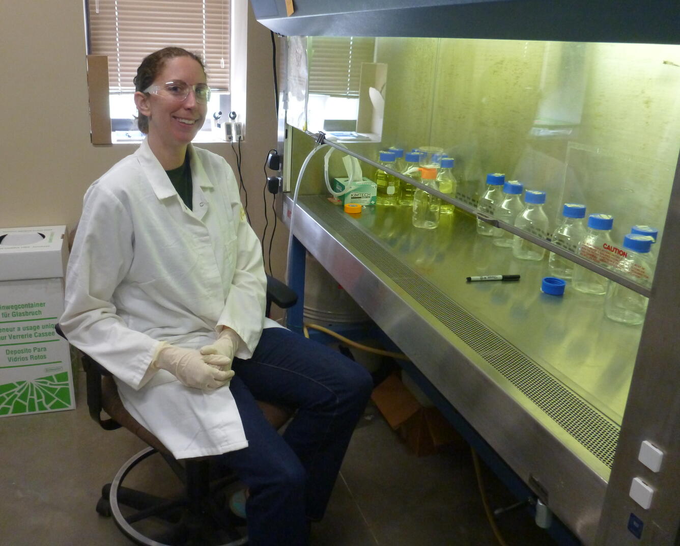 Scientist sitting next to a biological safety cabinet in a laboratory