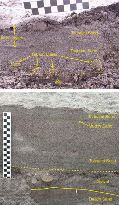 Two photos showing cross-sections of sand and labeled with various features to show the structure of tsunami deposits.