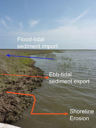 labeled estuary photo