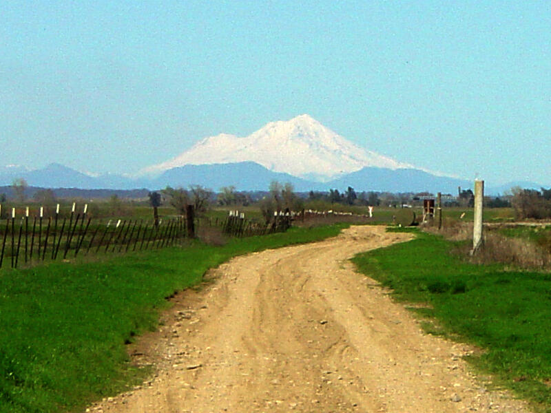 A photo of a dirt road.