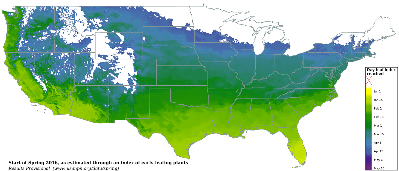 Map showing start of spring 2016 by leaf index